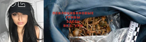 PSILOCYBIN Бронницы